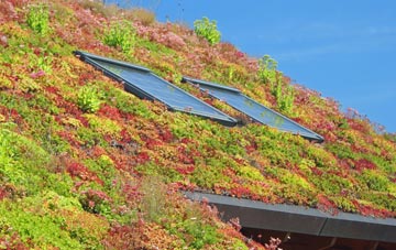 Upper Studley living roof systems